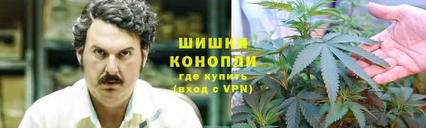 шишки Абаза