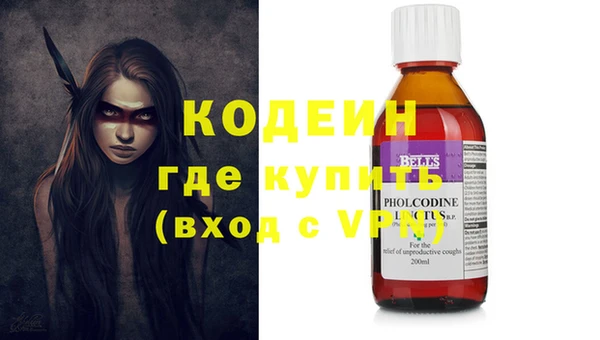 шишки Абаза