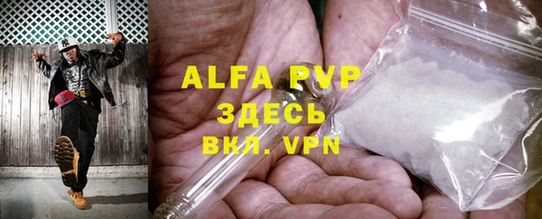 шишки Абаза