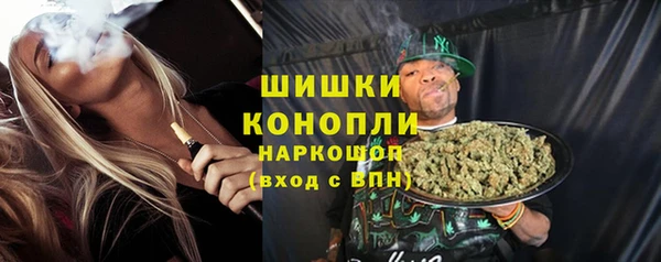 шишки Абаза