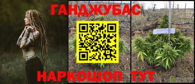 шишки Будённовск