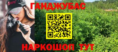 шишки Будённовск