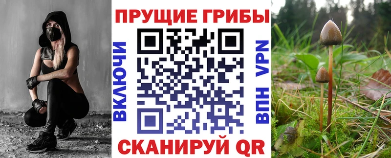 наркота  Братск  Псилоцибиновые грибы прущие грибы 
