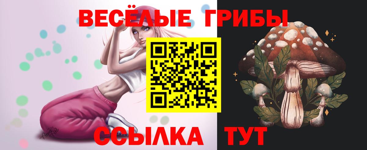 Братск  Галлюциногенные грибы мицелий  Вход с VPN  Псилоцибиновые грибы мицелий 